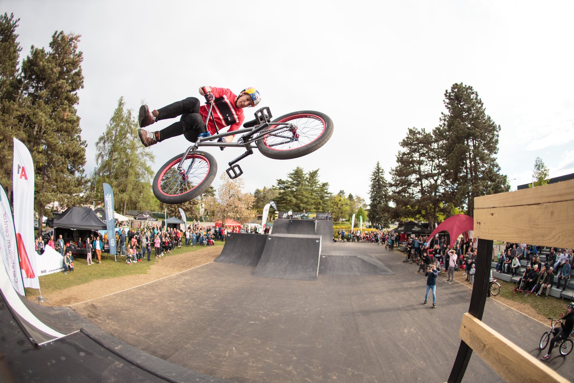 Логан мартин bmx