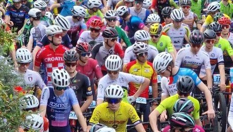 whatsapp-image-2026-03-19-at-nas-3